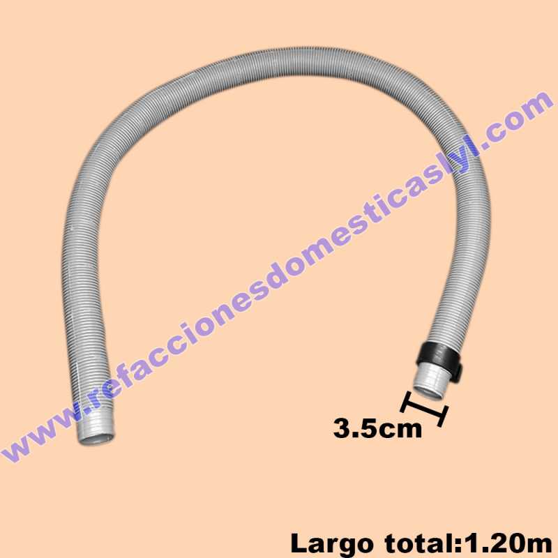 LAVCH010